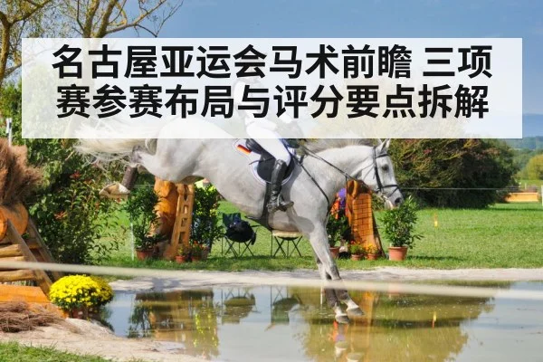 equestrian eventing cross country horse